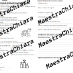 Verifica o esercitazione su articoli, nomi e aggettivi qualificativi classe seconda in più versioni.Digitale