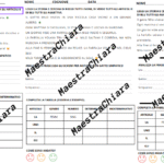 Lettura e comprensione del testo come esercitazione o verifica classe seconda e terza.Digitale