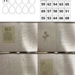 Numeri pari e numeri dispariDigitale