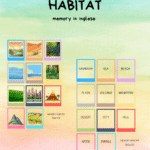 VERIFICA DI SCIENZE GLI ANIMALI CL.3Digitale