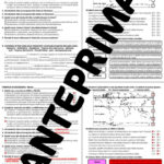 Under the sea_CrucipuzzleDigitale