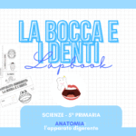 VERIFICA DI GEOMETRIA – I QUADRILATERI (5° PRIMARIA)Digitale