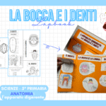 VERIFICA DI GEOMETRIA – I QUADRILATERI (5° PRIMARIA)Digitale