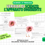 MEGA PACK IL FIUME: Lapbook Interattivo + Kit 20 Flashcards IllustrateDigitale