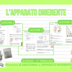 L’ESTATE DI VIVALDI – GUIDA ALL’ASCOLTODigitale