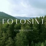 Homo SapiensDigitale