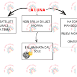 sistema muscolare schemiDigitale