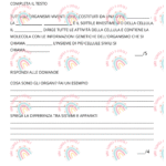 apparato locomotore prova di verificaDigitale