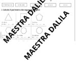 Biglietto Ape Apri e ChiudiDigitale