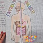 ESCAPE ROOM MATEMATICA CLASSE SECONDA SCUOLA PRIMARIADigitale