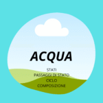 Cellula vegetale e Animale_KIT MULTIMODALE SCIENZE 1°media_slide+ infografica+ mappa mentale+ disegno da colorare+VERIFICA LE COMPETENZE+OMAGGIO:VIDEO&PODCASTDigitale