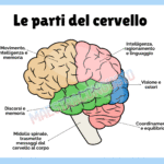 Alla scoperta dei fiumiDigitale