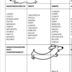 SPIEGAZIONE PRIMA PARTE ADDIZIONI IN COLONNADigitale