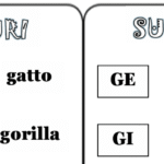 Libricino con suoni duri e dolci lettera CDigitale