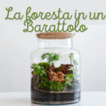 Letture Interpretate Montessori | Letture stampabili pdfDigitale