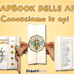 Gli opposti in CAADigitale