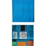 Comprensione del testo primo maggioDigitale