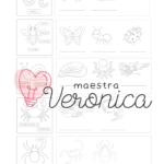 LA RESPIRAZIONE DEGLI ANIMALI – TERZA PRIMARIADigitale