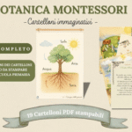 Studio dei vulcani – pacchetto completo | Materiale Montessori| Nomenclature| libretto| Poster muto e parlato| Scienze| Educazione cosmicaDigitale