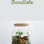 Letture Interpretate Montessori | Letture stampabili pdfDigitale