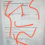 📚 Kit 15 Segnalibri Premium da Stampare: Dinosauri, Calcio e Fondali MariniDigitale