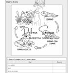 Memory delle forme curvilineeDigitale