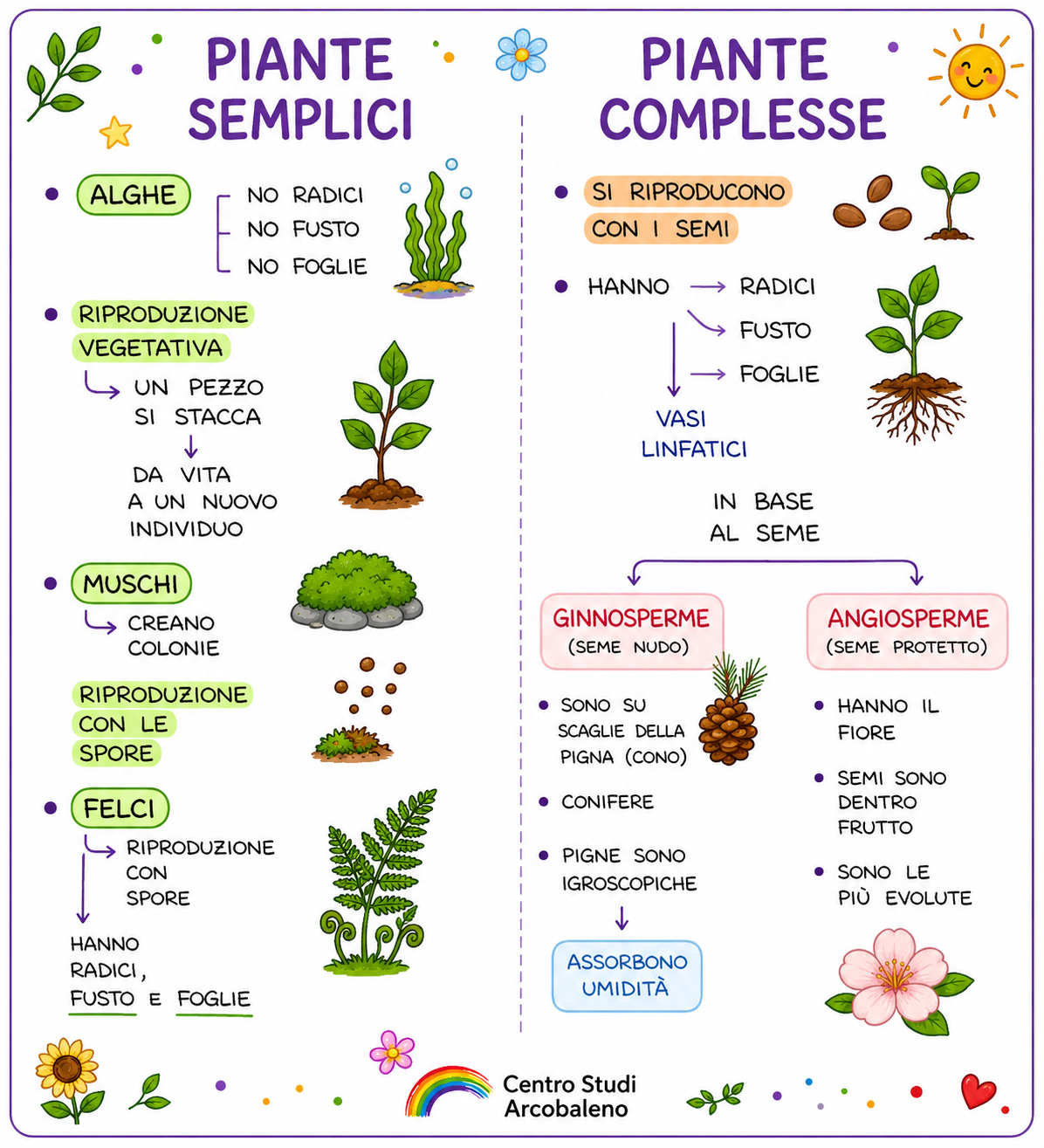 Piante semplici e piante complesse