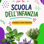 Scatolina DiplomaDigitale