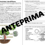 Missione Primavera – Nomi concreti e astrattiDigitale