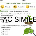 Schema riassuntivo sui batteri funghi e virusDigitale