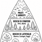 Le Alpi e gli AppenniniDigitale