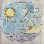 GIORNATA MONDIALE DELLE API MATEMATICA CLASSE 3^Digitale