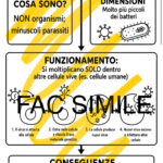 Il regno dei vegetaliDigitale