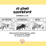Calcoli con le apette – 20 maggioDigitale