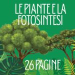 Comprensione del Testo: 10 Schede Pronte all’Uso – Classe PrimaDigitale