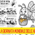 FORMAZIONEDELLE COLLINEDigitale