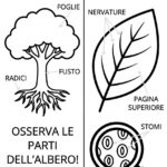Le Alpi e gli AppenniniDigitale