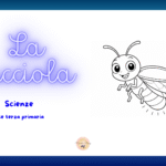 Indagine al museo egizioDigitale