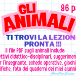 Il libricino dei POLIGONIDigitale
