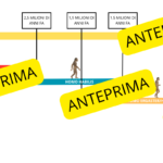 Etichette agenda visiva