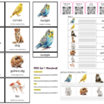 Vocabulary Enrichment Set: Pets SET 2Digitale