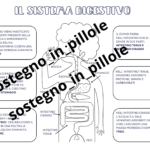 Carte dell’alfabeto degli animali con espansioni per leggere e per scrivereDigitale