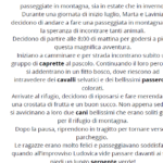 “Attività giardinaggio: fiori e piante”Digitale