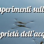 STEM Natale – Laboratorio degli ElfiDigitale