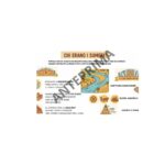 Il Carnevale di Tito: Lavoro sulle sequenze di una storiaDigitale