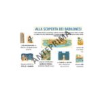 Le piante: mappa concettuale e verifica – Scienze primariaDigitale