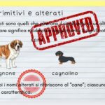 Nomi primitivi e derivati