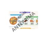 Scheda Operativa Giornata Mondiale dell’Acqua – Testo Descrittivo con EserciziDigitale