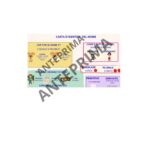 Napoleone Bonaparte: l’Ascesa e le Riforme (Slide PPTX + Verifica e Soluzioni)Digitale