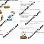 Verifica o esercitazione sul cartografo e sulla carte geografiche classe terzaDigitale